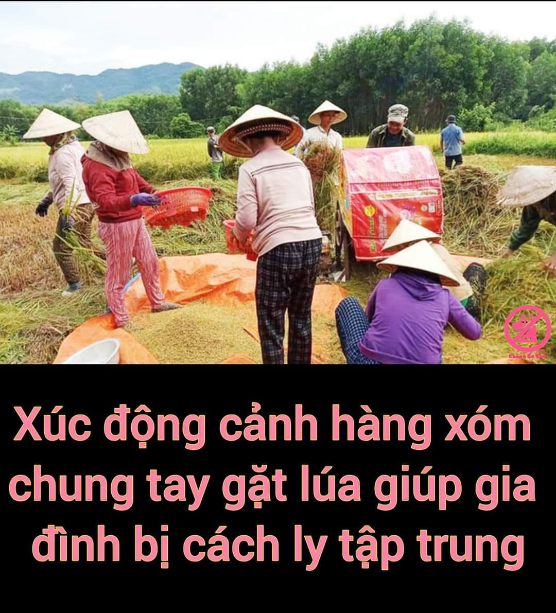 Thủ Thuật Mẫu hợp đồng lao động mới nhất năm 2021 (Chuẩn) 2022 1 51